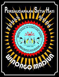 Logo Sh Winongo Pshtmw Png Dan Cdr Vektor Seni Bela Diri Belajar Persaudaraan
