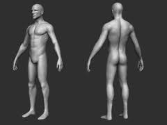 5 subdivision levels in ztl file. Male Free 3d Models Download Free3d