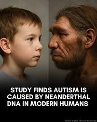 No human has the brain of a Neanderthal — but some have hints of its shape.  The brain shape of some people with European ancestry is influenced by  Neanderthal DNA acquired through