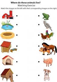 Good Morning Show Animal Houses Habitat Des Animaux Animaux De La Ferme Ferme Prescolaire