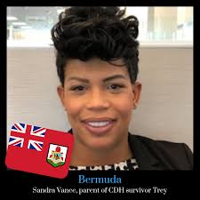 CDH International Bermuda Ambassador Sandra Vance