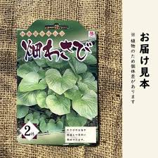 Amazon.co.jp: 畑わさび 2株 種株 種球根 家庭菜園 わさび 山葵 野菜 山菜 花の大和 : DIY・工具・ガーデン