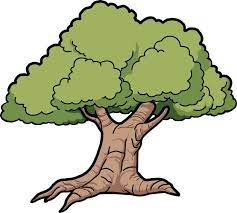 Free pokok png images, pokok sena district, nomor pokok wajib pajak, nomor pokok sekolah nasional. Oak Tree Clip Art Tree Oak Scalable Vector Graphics Svg Cartoon Trees Tree Clipart Clip Art