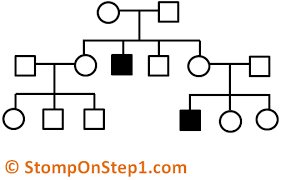 Pedigrees Patterns Of Genetic Inheritance Stomp On Step1