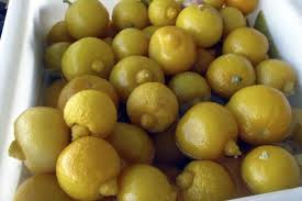Citrons Confits La Presse
