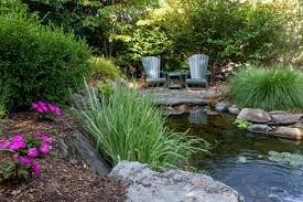 Image result for garden pond ideas