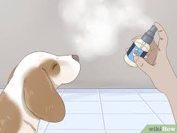 Anxiety is the most common mental illness in the world, affecting over 40 million adults in the united states ages 18 and older. How To Reduce Anxiety In Dogs 14 Steps With Pictures Wikihow
