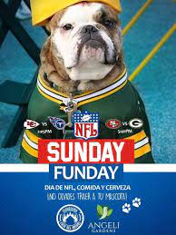 Ver juego nfl hoy / juegos nfl hoy domingo : Angeli Gardens Te Esperamos Hoy A Ver Los Juegos Nfl Facebook