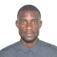 Les professionnels, salariés, free-lances et entrepreneurs d'Afrique