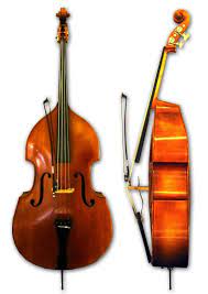 The bass is a standard member of the orchestra's string section, as well as the concert band, and is featured in. Double Bass Wikipedia