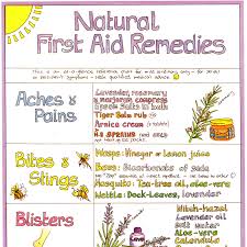 Natural First Aid Remedies Chart Liz Cook Charts