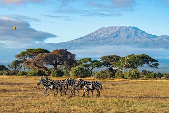 Maasai Mara Game Reserve