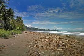 Find your dream property for sale in costa rica 's leading estate agency, coldwell banker vesta group dominical. Dominical Matapalo Costa Rica