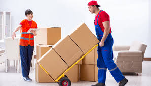 movers and packers