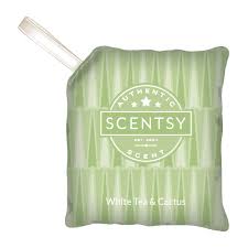 The white tea cactus scent circle keeps all areas smelling fresh and clean. White Tea Cactus Scentsy Scent Pak Discontinued Buy Scentsy Online Buy Sell Scents