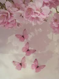 Check spelling or type a new query. Pink Pastel Aesthetic Butterfly Novocom Top