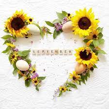 Happy Days Farm Happy September Eggvignette September Flowers Hearts Sunflowers Eggs Betterhomesandgard Happy Day Farm Month Flowers Flower Letters
