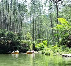Rp 20.000 (weekday) rp 25.000 (weekend) tarif parkir mobil Tempat Wisata Sumedang Paling Hits Terpopuler Saat Ini Sanjaya Tour