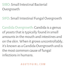 Here's diet guidelines, a list of foods to avoid, foods to eat, and what causes candidiasis. Grocery List For The Candida Diet A Gutsy Girl