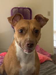 Girls girls! Today is my birthday.