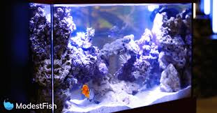 Check spelling or type a new query. Best Aquarium Led Lighting Reviewed 2021