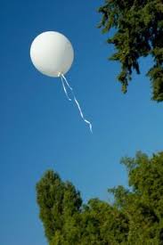 After acknowledging how destructive released balloons are, they first only agreed to release less of the without the mayor explaining the change and discouraging the community from releasing balloons, the damage is done. 62 Balloon Release Ideas Balloon Release Balloons Birthday In Heaven