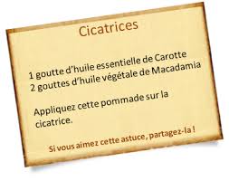 Pommade Cicatrisante Des Recettes Naturelles Et Simples Huiles Essentielles Aromatherapie Huile Essentielle De Thym Huiles Essentielles Huile Essentielle Anti Inflammatoire