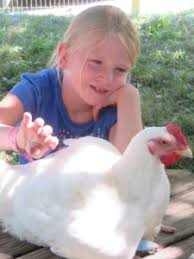 Children and the Loss of Concern for Animals: Implications for War