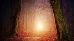 Check spelling or type a new query. Apa Yang Dimaksud Dengan Konsep Ruang Dan Waktu Dalam Sejarah Kumparan Com