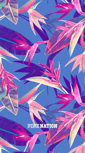 Victoria S Secret Pink Wallpaper Iphone Background Nation 2018 Spring Break Abstra Pink Nation Wallpaper Pink Wallpaper Iphone Victoria S Secret Pink Wallpaper