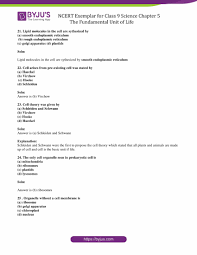 A kitchen has all the analogies needed in order to compare it to a cell. Ncert Exemplar Class 9 Science Solutions Chapter 5 The Fundamental Unit Of Life Download Free Pdf