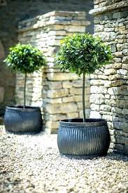 25 Amazing Home Outdoor Planter Ideas That Will Your Make Home Beauty Decor Gardening Ideas Large Garden Pots Large Outdoor Planters Large Planters Pots