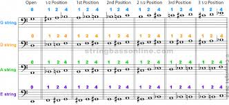 String Bass Online Fingering Chart