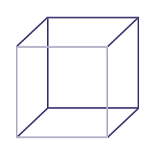 Necker Cube - The Illusions Index