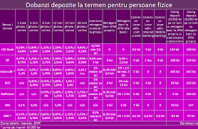 Deschidere cont de economii administare cont de economii. Bancherul Cec Bank Plateste Cea Mai Mare Dobanda La Depozitele Prin Internet Si Mobile Banking