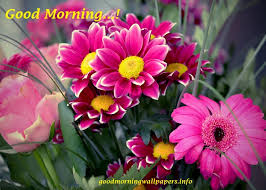 You can also upload and share your favorite good morning hd wallpapers. Latest Good Morning Poster Free Download