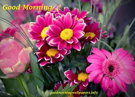 Images with heart free download. Latest Good Morning Poster Free Download