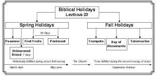 62 Punctilious Chart Of Feasts