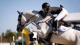 Traverse City Horse Shows