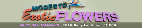 $7 off your order with coupon code 7flower. Modesto Exotic Flowers