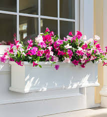 Window boxes can completely transform the facade of your house. Lexington Self Watering Window Boxes With Hanging Brackets Plowhearth