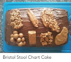 Bristol Stool Chart Cake Cake Meme On Me Me