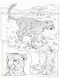 Gepard Ausmalbilder Malvorlagen Animierte Bilder Gifs Animationen Cliparts 100 Kostenlos