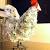 Living Room Homemade Decorative Items From Waste Material