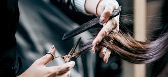 We did not find results for: Tecnicas De Corte De Cabello Segun El Efecto