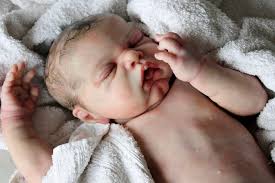 Cindy Musgrove Kits 2024