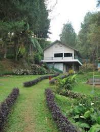 Jenis kelinci di taman kelinci bambu apus beragam. Paket Cakra Adventure 2020 Cakra Adventure