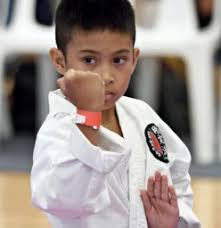 Karate Dojos in the Melbourne Region
