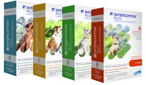 The most common worms in cats and dogs « pet memorial world. Monthly Chewable Dog Dewormer About Interceptor Plus For Dogs