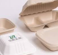 Sugarcane Take-Out Container with Sleeve